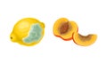 Decomposed Stinky Rotten Fruit with Peach and Lemon Having Bad Spots Vector Set