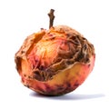 Decomposing Rotten Peach Unhealthy Eating Concept in Spoiled Fruit, Mold Growth, Generative Ai Royalty Free Stock Photo