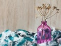 Decor dry twigs in a bottle Royalty Free Stock Photo