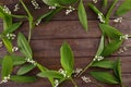 The decor of the flowers of lily of the valley on the background of vintage wooden boards. Vintage background with frame of Royalty Free Stock Photo