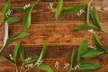 The decor of the flowers of lily of the valley on the background of vintage wooden boards. Vintage background with frame of Royalty Free Stock Photo