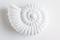 Decor for home in shape of snail shell on white background. Ammonite prehistoric fossil. Nautilus shell Royalty Free Stock Photo