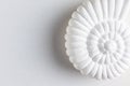 Decor for home in shape of snail shell on white background. Ammonite prehistoric fossil. Nautilus shell Royalty Free Stock Photo