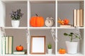 Decor house interior decoration for Halloween. Book shelves flower pots pumpkins