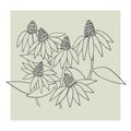 Decor printable art. Hand drawn Echinacea vector illustrations on abstract backgrounds for home interior design