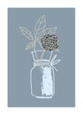 Decor printable art. Hand drawn monochrome vector illustration of elderflower in vase on gray background