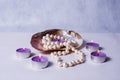 Decor of seashells close-up Royalty Free Stock Photo