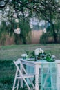 Decor wedding dinner in nature in the garden Royalty Free Stock Photo