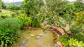 Decorate with orange pottery pavement walkway, greenery fern epiphyte plant, shrub and bush, under shading trees