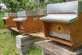 Decorated beehives in a garden on a sunny day