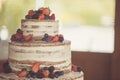 Decorated by berries naked cake, rustic style for weddings, birthdays and events. Royalty Free Stock Photo