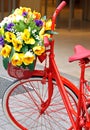 Decorated bicycle