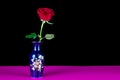 Decorated Blue Flower Vase with Single Red Rose on a Pink Surface and Black Background Royalty Free Stock Photo