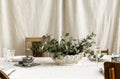 Decorated boho table. The table is covered with a tablecloth, plates, glasses and a vase with a green plant