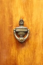 Decorated bronze knocker Royalty Free Stock Photo