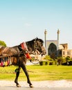 Decorated brown iranian horse carriage for ride, popular local attraction in Isfahan square, Iran