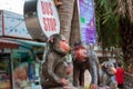 Decorated bus stop with monkey statues in front of tourist information center on the street in Thailand.