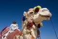 Decorated Camel in Egypt