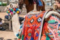 Decorated camel in a Egypt. Royalty Free Stock Photo