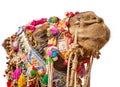 Decorated camel head isolated on white background Royalty Free Stock Photo