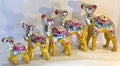 Decorated camels used for ornamental work