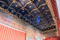 Decorated ceiling in castle room