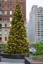 A decorated Christmas evergreen tree in front of an office building in NYC. Royalty Free Stock Photo