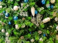 Decorated Christmas tree background, Beautiful Christmas fur-tree decorated with New Year`s toys, Christmas balls decorations on Royalty Free Stock Photo