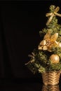 Decorated Christmas tree on black  background Royalty Free Stock Photo