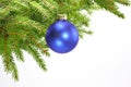 Decorated christmas tree bough Royalty Free Stock Photo