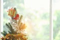 Decorated Christmas tree closeup, Christmas toys on the Christmas tree with a close angle nad gift box white glass blur background Royalty Free Stock Photo