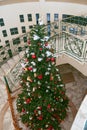 Decorated Christmas tree insade of the beautiful buildings