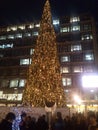 Decorated Christmas tree in main street in Belgrade