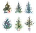 Decorated christmas tree New year Watercolor illustration Water color drawing