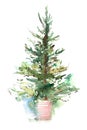 Decorated christmas tree New year Watercolor illustration Water color drawing Royalty Free Stock Photo