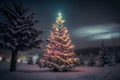 Decorated Christmas tree outdoor at night