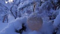 Decorated christmas tree outside with lights covered with snow Royalty Free Stock Photo