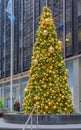 A decorated Christmas tree roadside in NYC Royalty Free Stock Photo