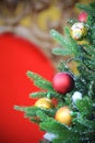 Decorated Christmass tree against a red background. Royalty Free Stock Photo
