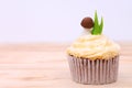 Decorated cupcake on wooden background