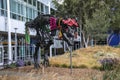 Decorated dinosaur skeleton outside office building in campus of google office
