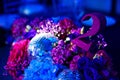 decorated in disco style table in a dark banquet hall. Royalty Free Stock Photo