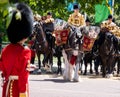 Drum horse at the Trooping the Colour, annual military parade in London, UK.