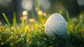 Decorated Easter Egg Rests In Dewy Grass Royalty Free Stock Photo