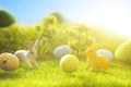 Decorated easter eggs with easter rabbit on grass over sky background Royalty Free Stock Photo