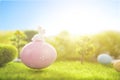 Decorated easter eggs with easter rabbit on grass over sky background Royalty Free Stock Photo