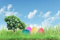 Decorated easter eggs in the grass with blue sky Royalty Free Stock Photo