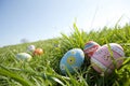 Decorated Easter Eggs in Grass with Sky Royalty Free Stock Photo