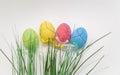 decorated Easter eggs and green grass on grey background Royalty Free Stock Photo