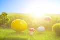 Decorated easter eggs in green grass on sunset sky background. Royalty Free Stock Photo